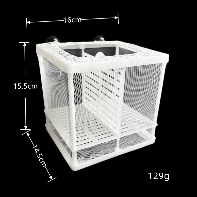 Peacock Fish Incubation Box Aquarium Isolation Net