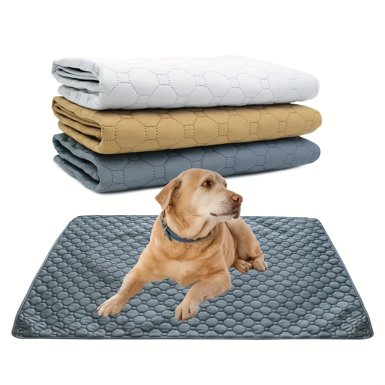 Washable Puppy Pads Non Slip - Pet Training Pads for Whelping Potty