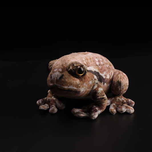 Realistic Plush Toad Soft Toy Brown & Frog Orange Eyes 6.69in