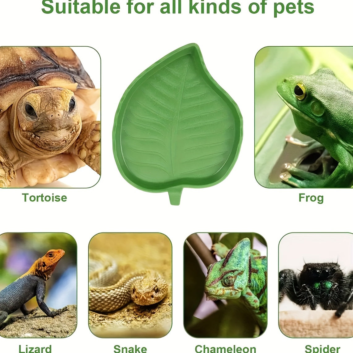 Reptile Leaf Food Water Bowl Tortoise Leaf Shape Dish