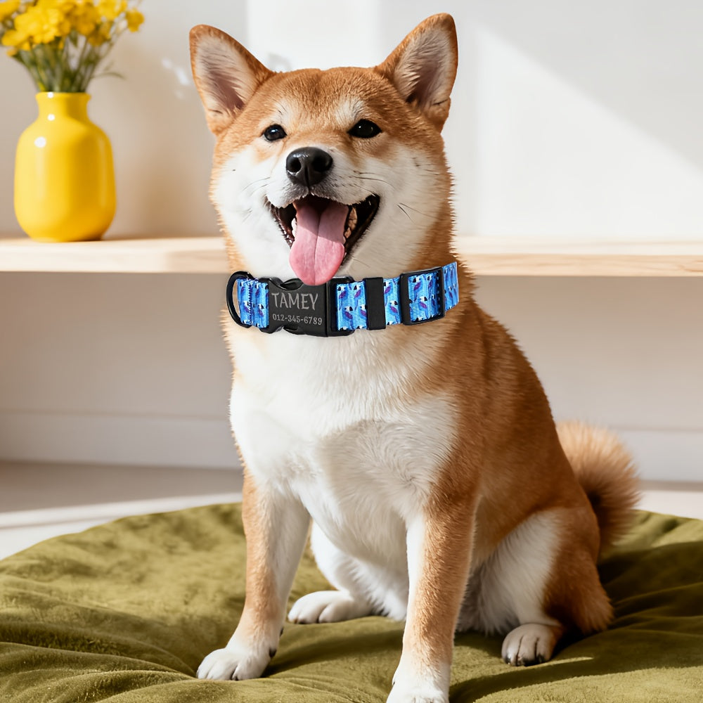 img_4062915