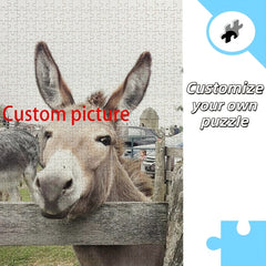 img_7521042