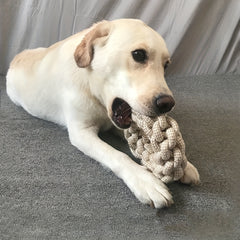 Durable Cat & Dog Teaser Toy Teeth Cleaning Star Wand Rope Knot