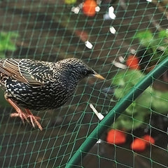 Garden Bird Netting Protect Plants Trees Plastic Trellis Netting