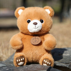 Claw Machine Bear Plush Toy