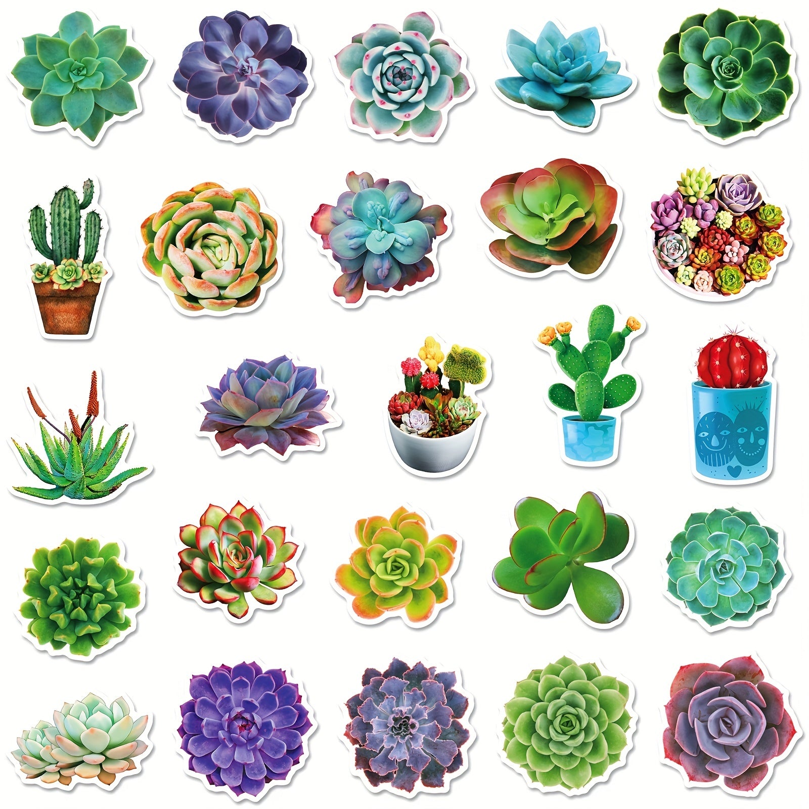 50pcs Waterproof Succulent Stickers Water Bottle Laptop Skateboard Scrapbook