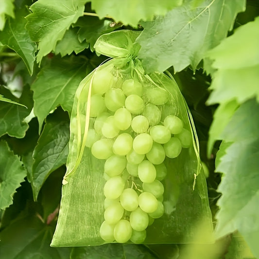 Fruit Protection Net Bags, 30/50pcs, Bird & Insect Prevention