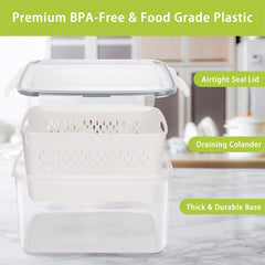 5pcs Fruit Container With Filter Mesh Cover Refrigerator Storage Box Set