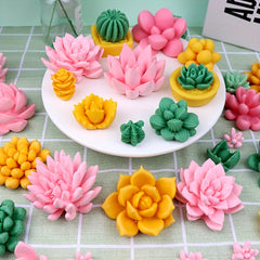 9pcs 3D Silicone Succulent Plant Chocolate Molds Baking Tool