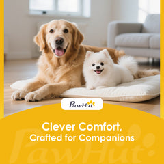 img_6472870