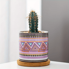 Nordic Style Ceramic Flower Pot for Succulents, Indoor and Outdoor Use