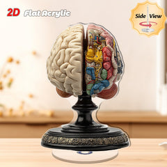 img_13159773