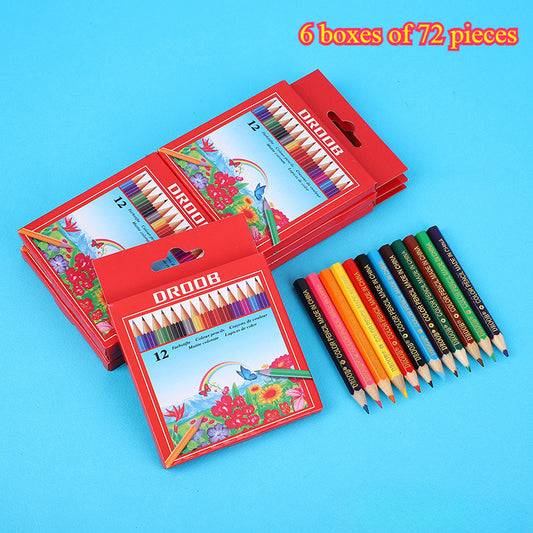 432 Short Pencils 12 Colors Painting Graffiti Art Colored Professional Art Use