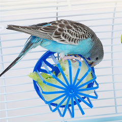 Creative Bird Feeder for Fruits Vegetables and Treats