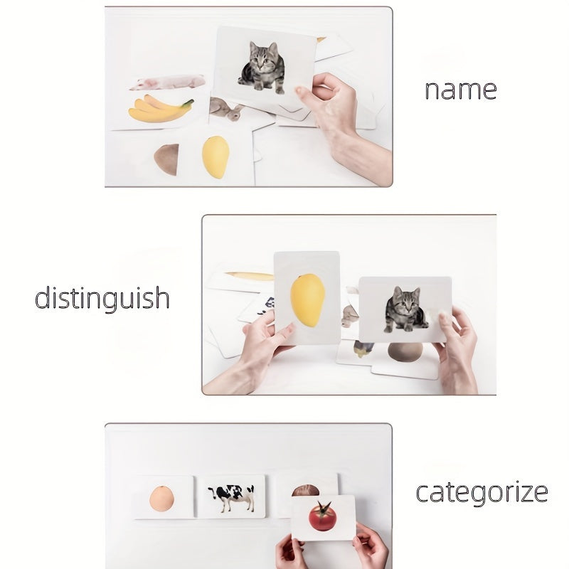30pcs Realistic Picture Classification Cards for Language Area Teaching