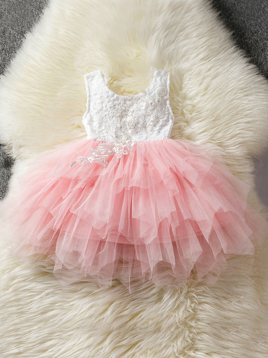 Girl's Lace Embroidered Princess Dress