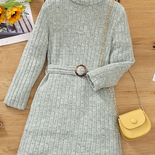 Toddler Girl Knitted Turtleneck Belted Sweater Dress
