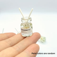 Glass and Resin Dollhouse Aromatherapy Model for Home Decor