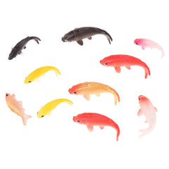 img_2975395