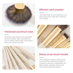img_365025