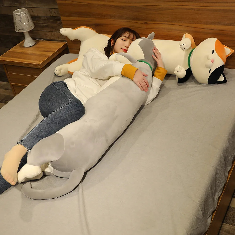 img_4991868