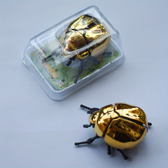 Clockwork Beetle Prank Toy