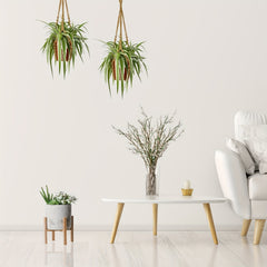 2pcs Macrame Plant Hanger Rope Indoor Brown Holder for 4-15cm Plant Pots