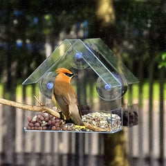 Clear Plastic Window Bird Feeder with Suction Cups - Bird House