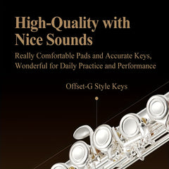 Silvery Plated Flute In C Key 16 Keys Closed Hole E Key Professional Beginner