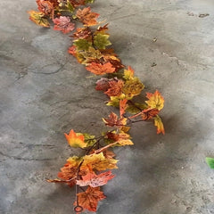 img_5478806