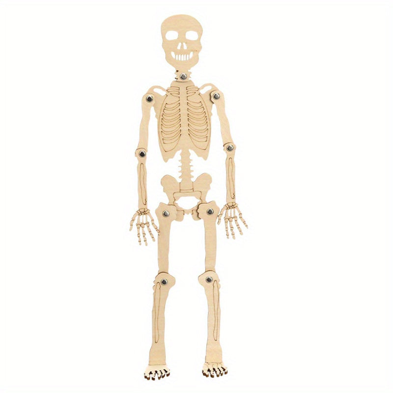 DIY Human Skeleton Assembly Puzzle Kit for Small Production