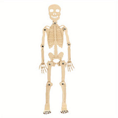DIY Human Skeleton Assembly Puzzle Kit for Small Production
