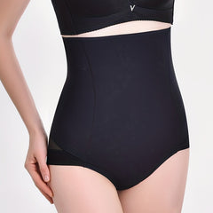 Mesh Shaping Panties Tummy Control Compression Panties