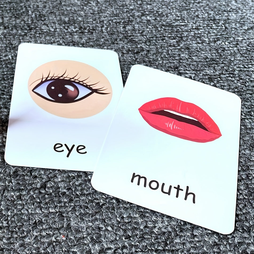 Montessori Body Part Flash Cards for Kids - Educational Toy