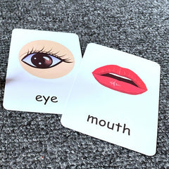 Montessori Body Part Flash Cards for Kids - Educational Toy