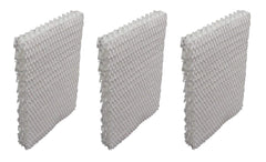 img_19503842