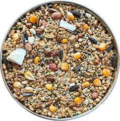 img_8194769