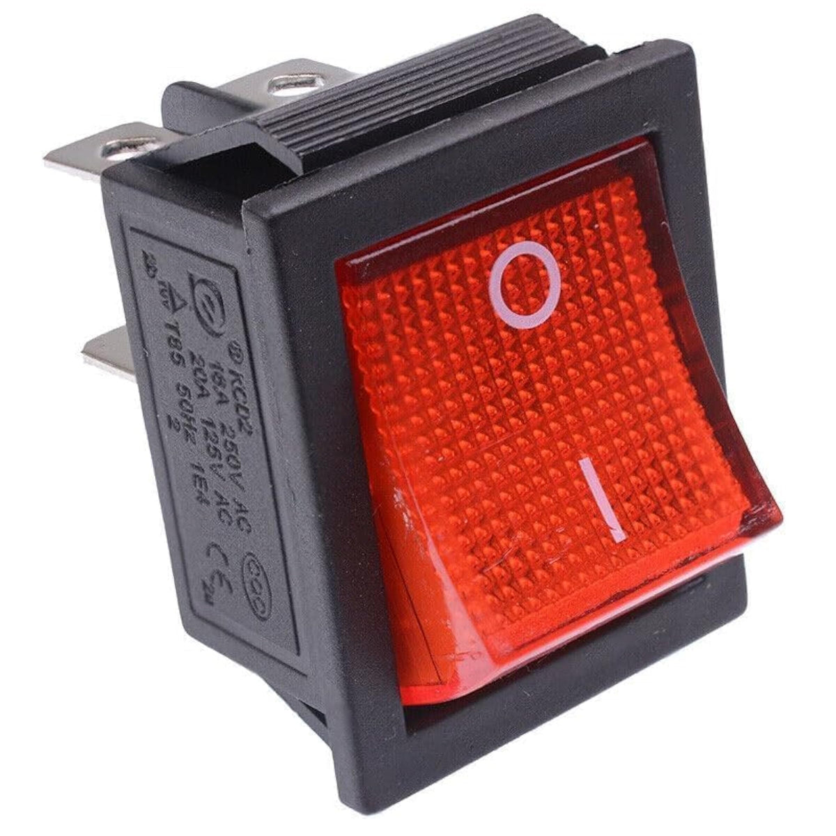 img_12007354