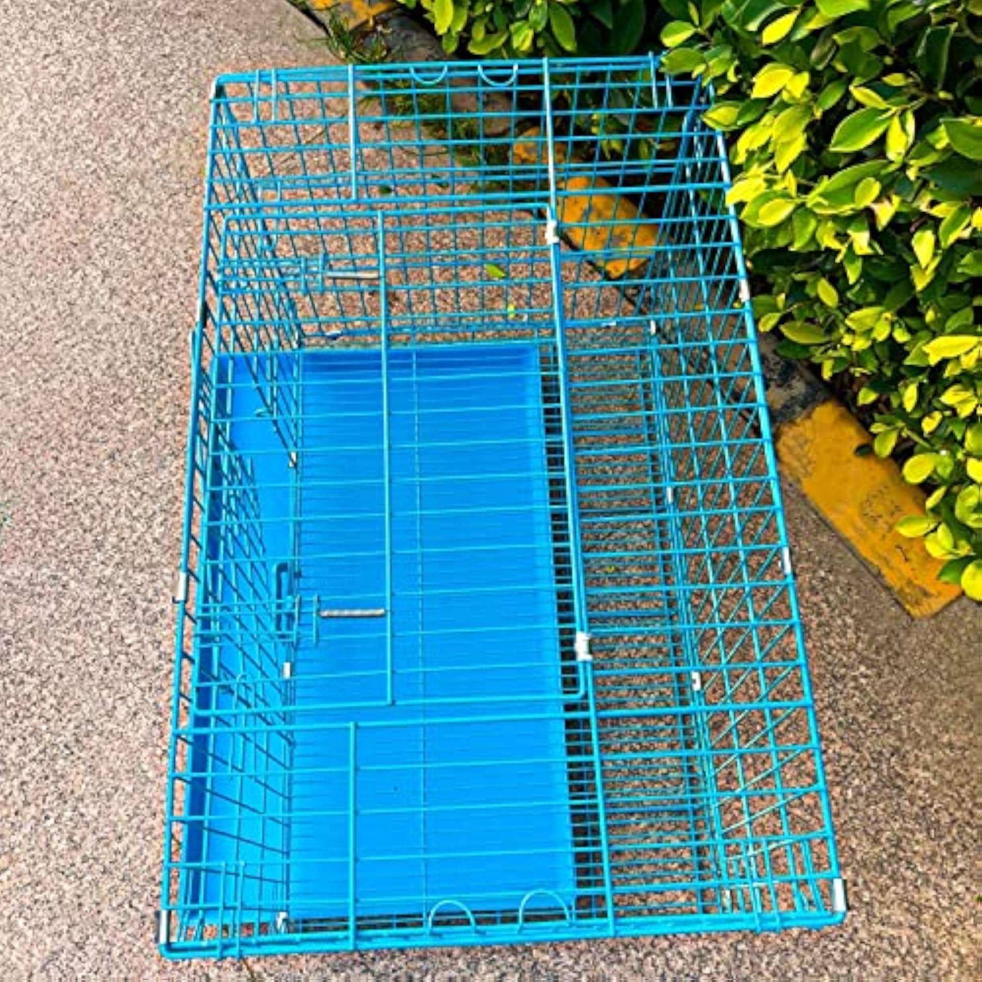 img_15981671