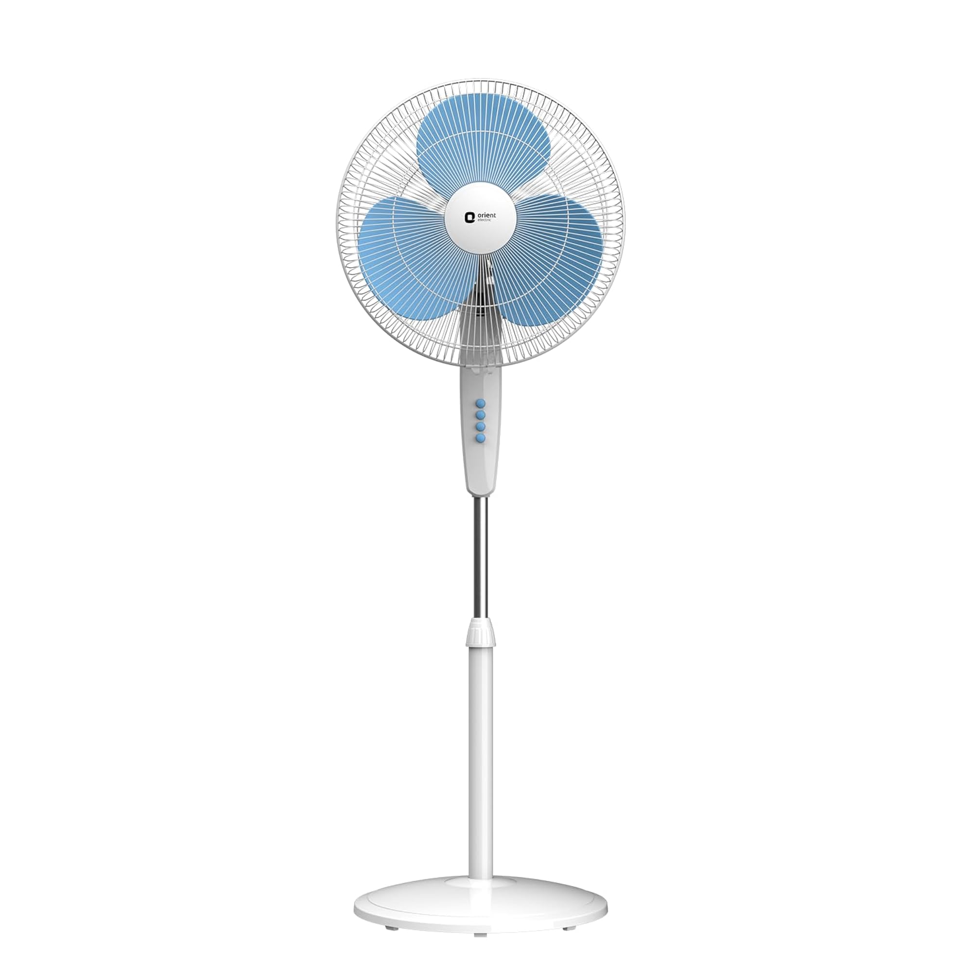 img_18502404