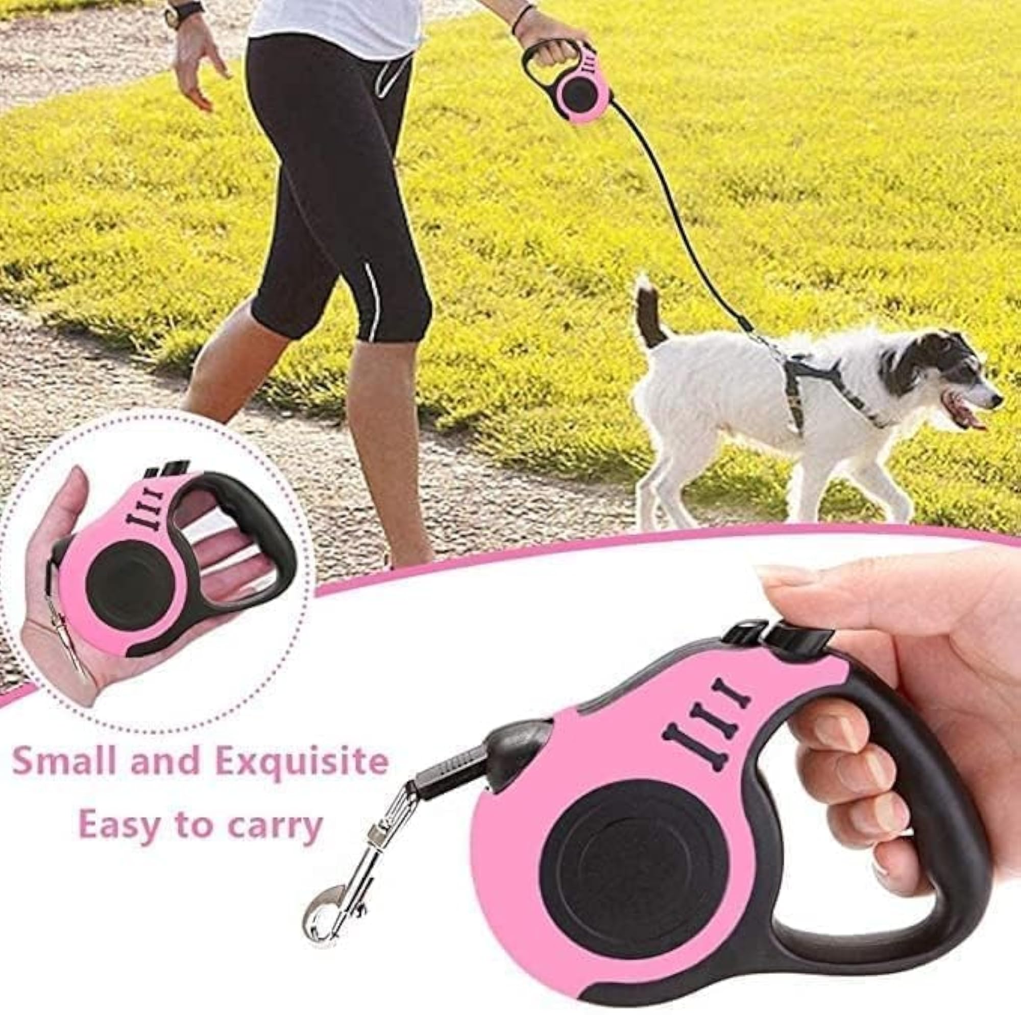 img_11779049