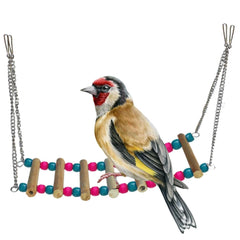 img_18261474