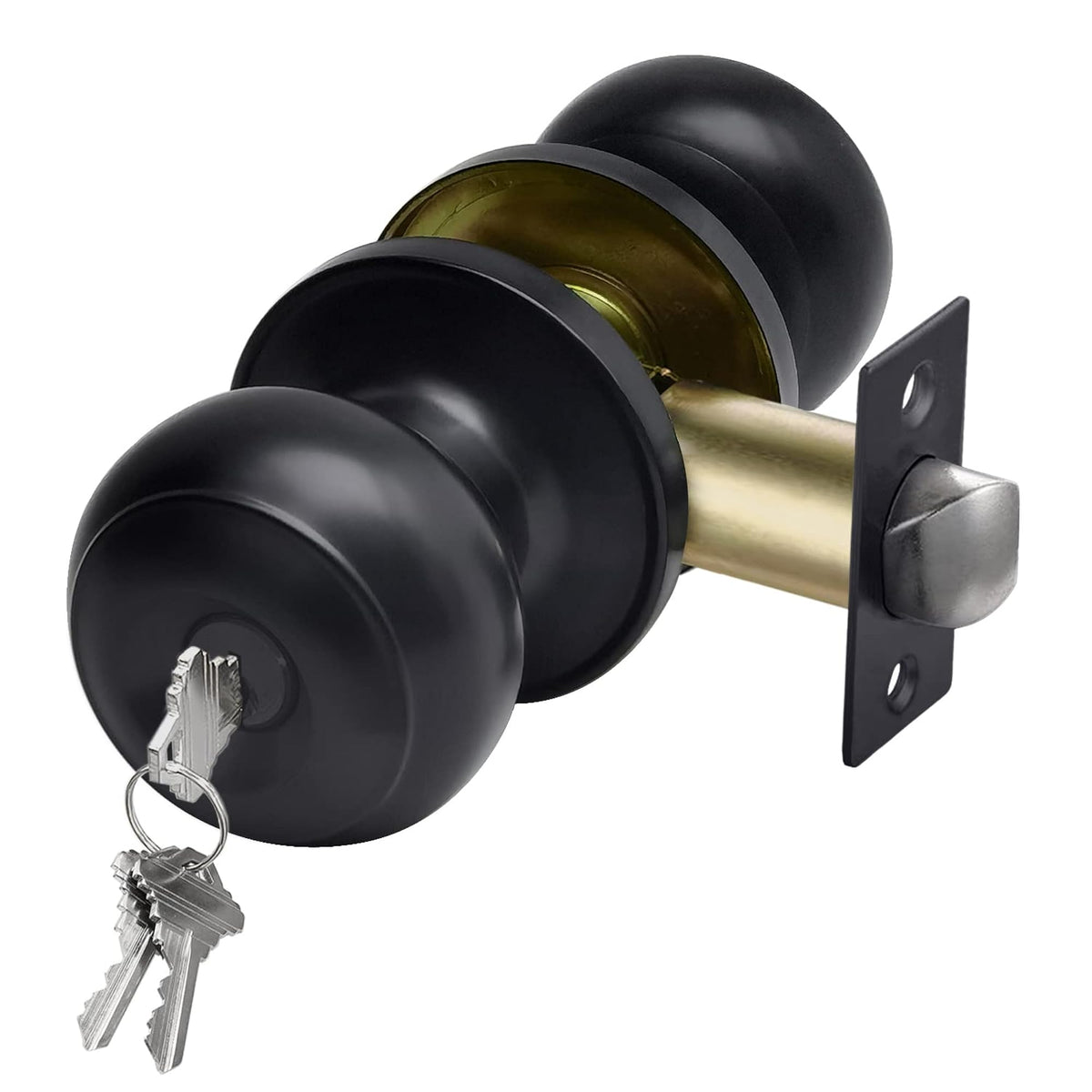 img_20067229