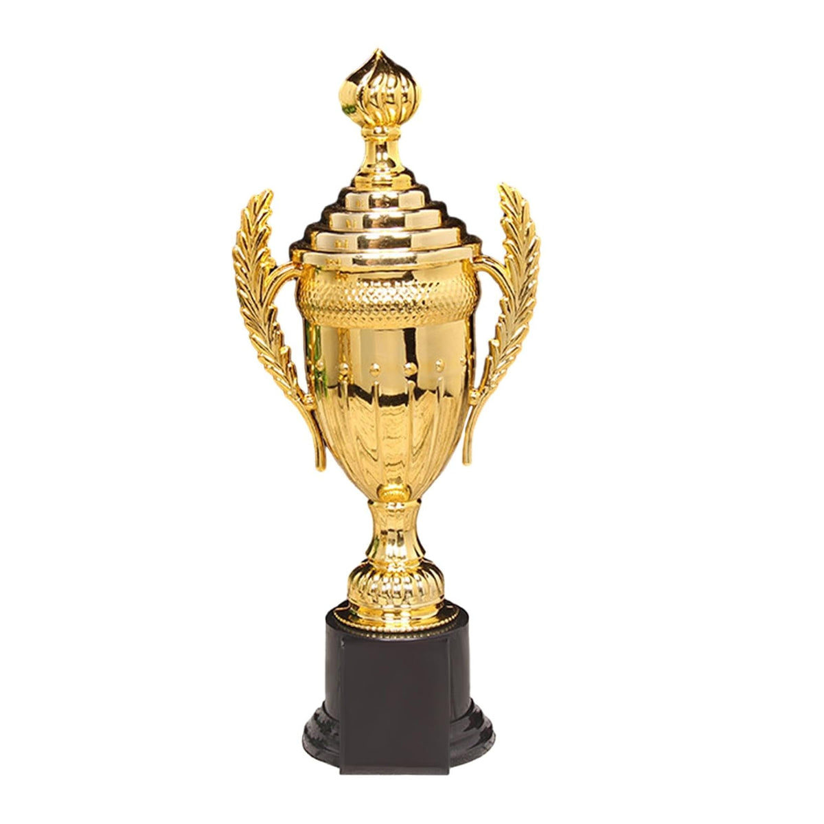 img_18317923