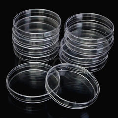 img_12903990