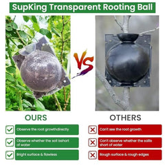 img_15901999