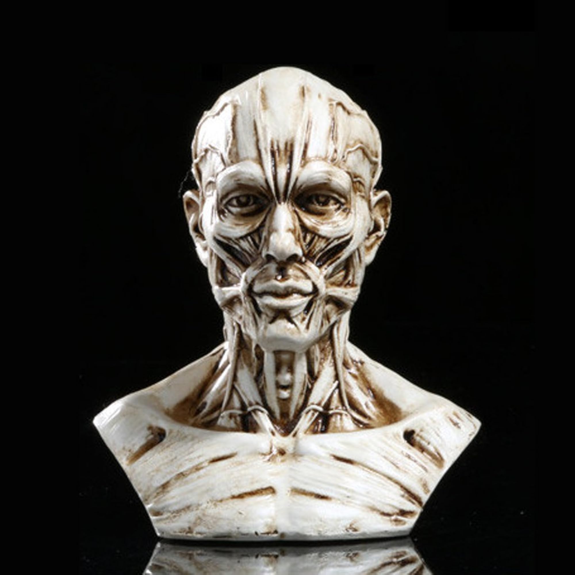 10cm Human Drawing Model Body Muscle Artist Figure Display – CRAZE