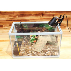 img_21813352