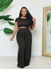  2 Piece Set Women's Short Sleeve Crop Top & Wide Leg Pants