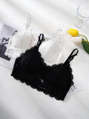 2pcs Lace Wireless Bras Scalloped Trim Intimates Bra Women's Lingerie